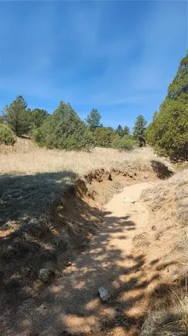 161 Ponderosa Lane Cotopaxi CO 81223