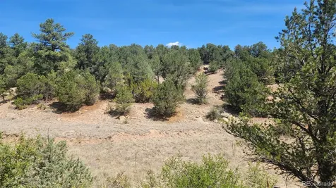161 Ponderosa Lane Cotopaxi CO 81223