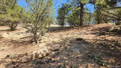 161 Ponderosa Lane Cotopaxi CO 81223