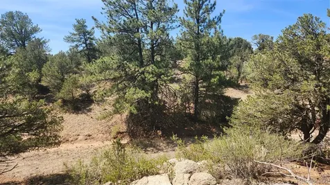 161 Ponderosa Lane Cotopaxi CO 81223