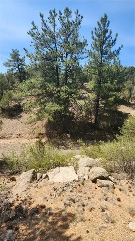 161 Ponderosa Lane Cotopaxi CO 81223