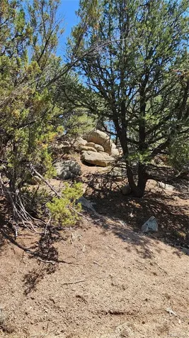 161 Ponderosa Lane Cotopaxi CO 81223