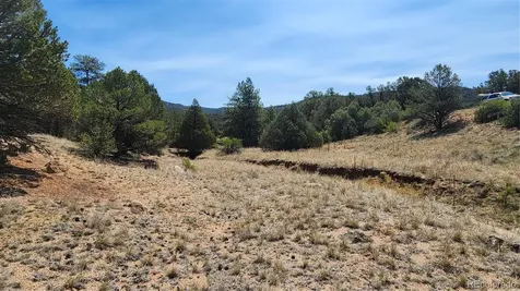 161 Ponderosa Lane Cotopaxi CO 81223