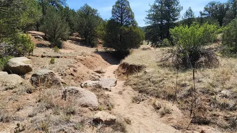 161 Ponderosa Lane Cotopaxi CO 81223