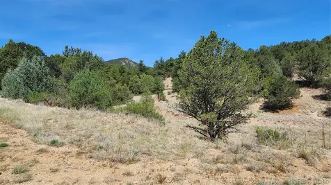 161 Ponderosa Lane Cotopaxi CO 81223