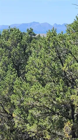 161 Ponderosa Lane Cotopaxi CO 81223
