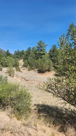 161 Ponderosa Lane Cotopaxi CO 81223
