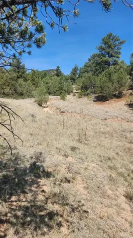 161 Ponderosa Lane Cotopaxi CO 81223