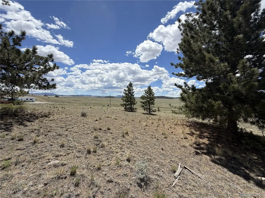 595 Bridle Path Hartsel CO 80449