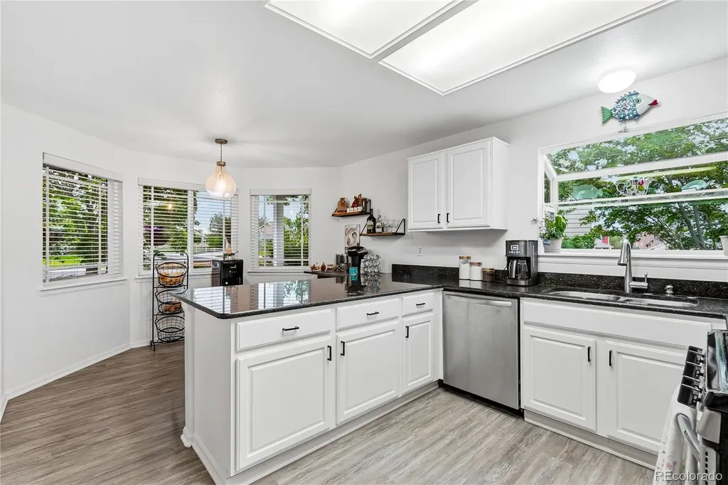 11229 Glenmoor Court Parker CO 80138
