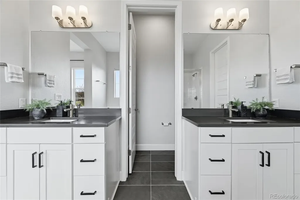 3208 Carabiner Street Castle Rock CO 80108