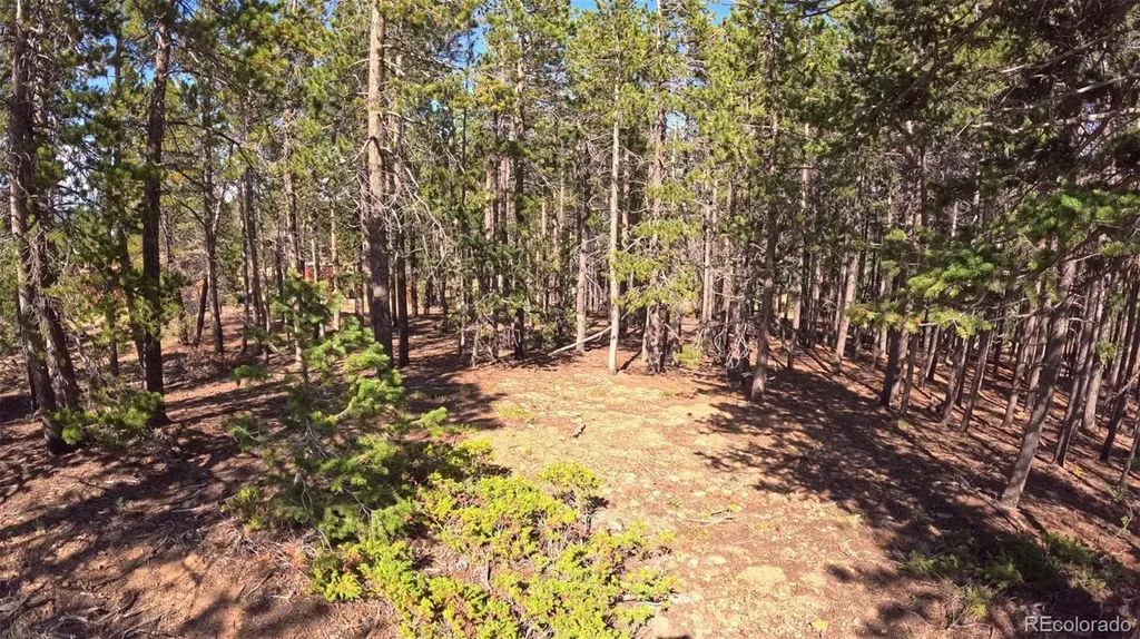 595 Divide View Drive Golden CO 80403