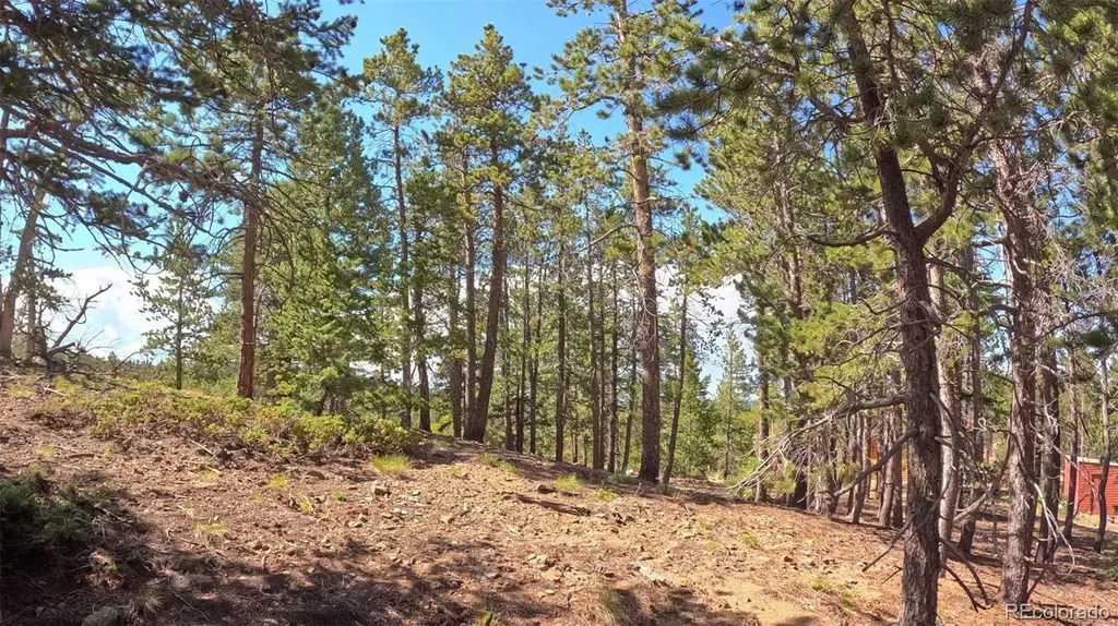 595 Divide View Drive Golden CO 80403