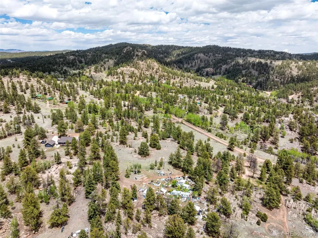 527 Plateau Drive Guffey CO 80820