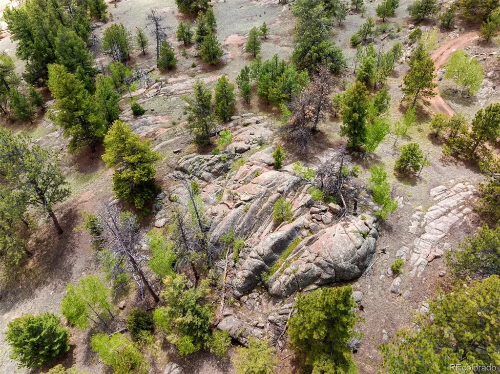 527 Plateau Drive Guffey CO 80820