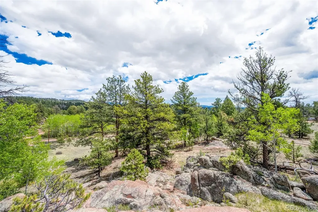 527 Plateau Drive Guffey CO 80820