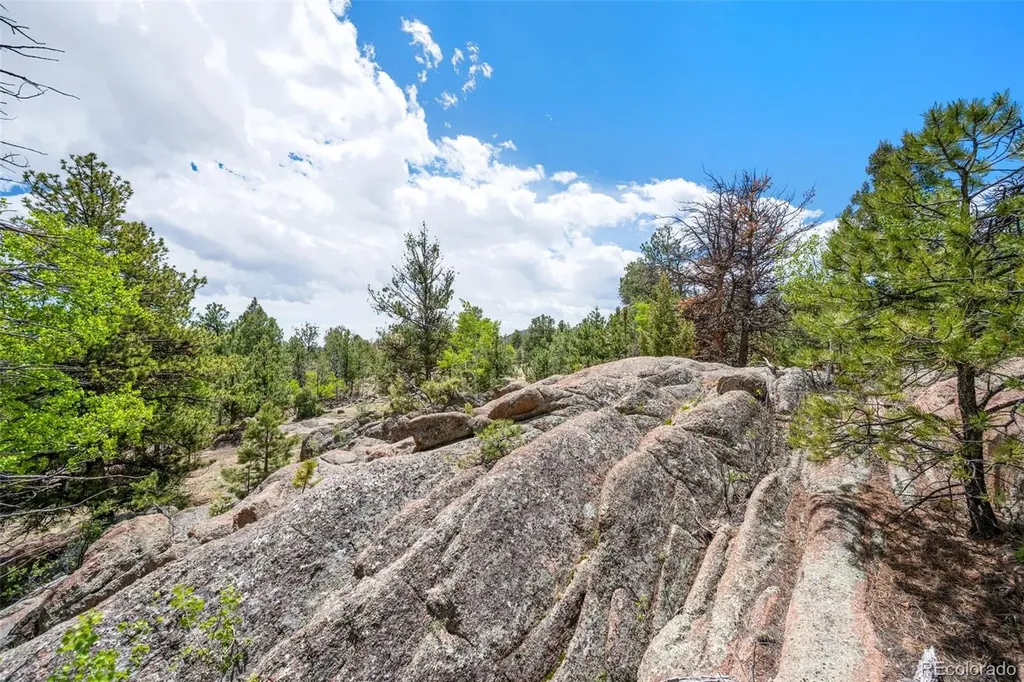 527 Plateau Drive Guffey CO 80820