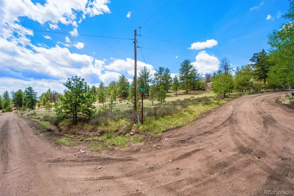 527 Plateau Drive Guffey CO 80820