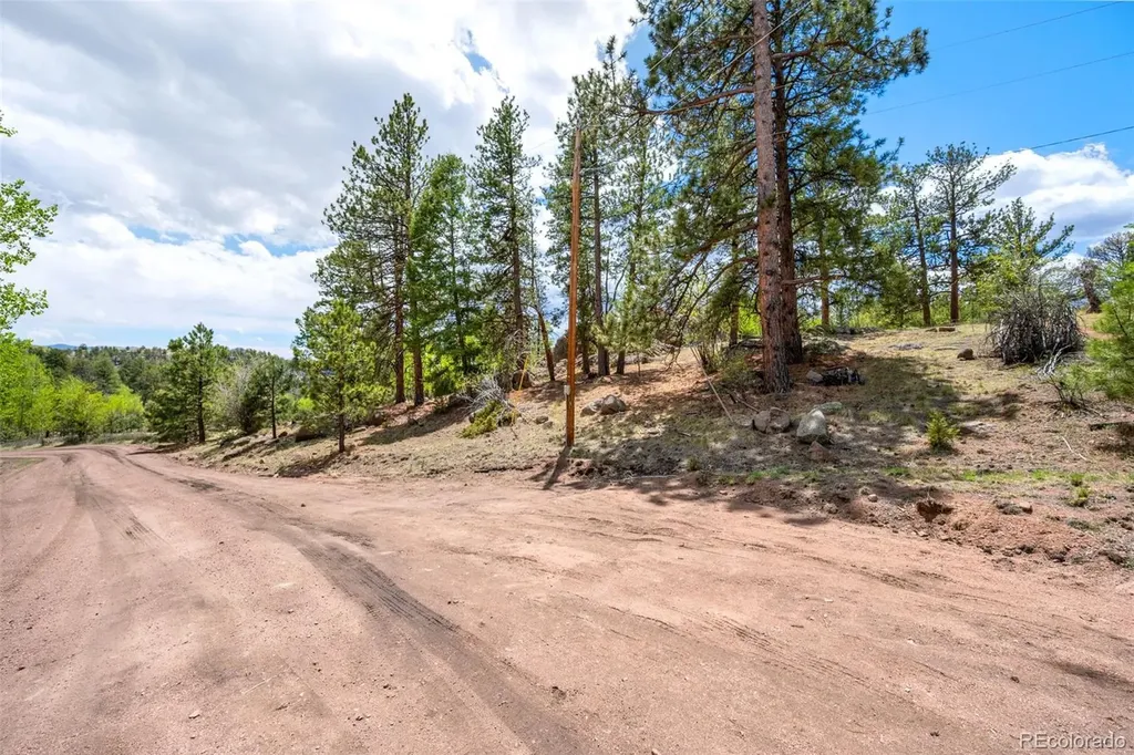 527 Plateau Drive Guffey CO 80820