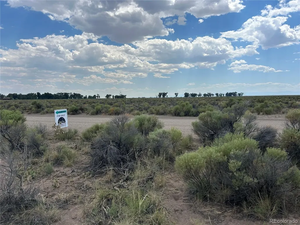 748 Sunflower Trail Crestone CO 81131
