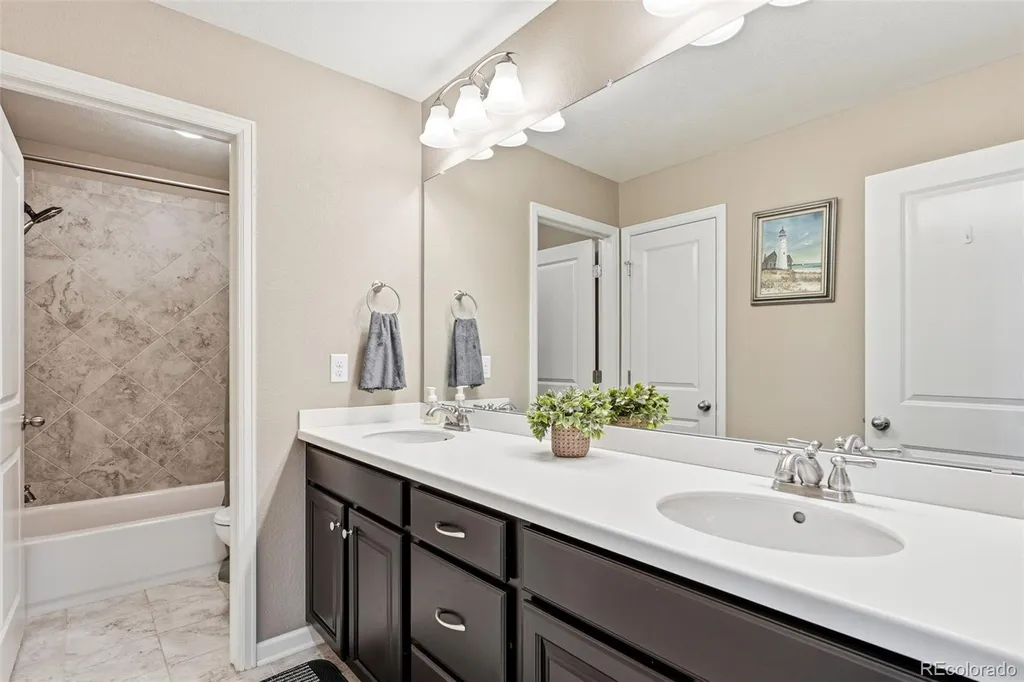3677 Schuman Place Mead CO 80542