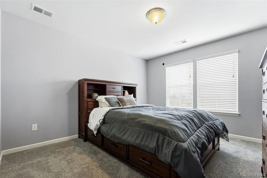 3677 Schuman Place Mead CO 80542