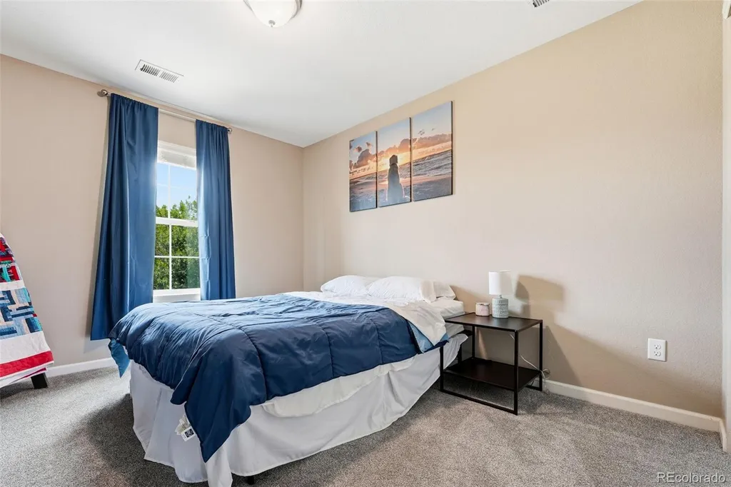 3677 Schuman Place Mead CO 80542
