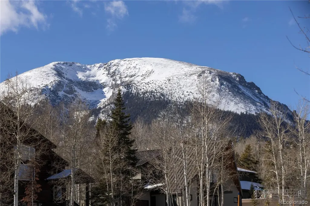 511 Ryan Gulch Road Silverthorne CO 80498