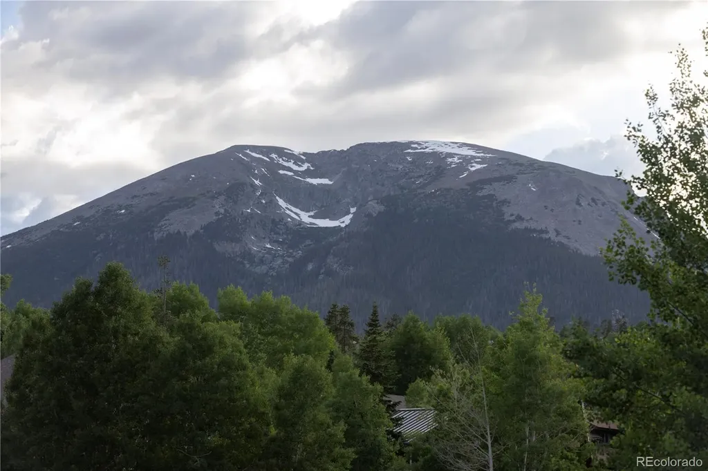 511 Ryan Gulch Road Silverthorne CO 80498