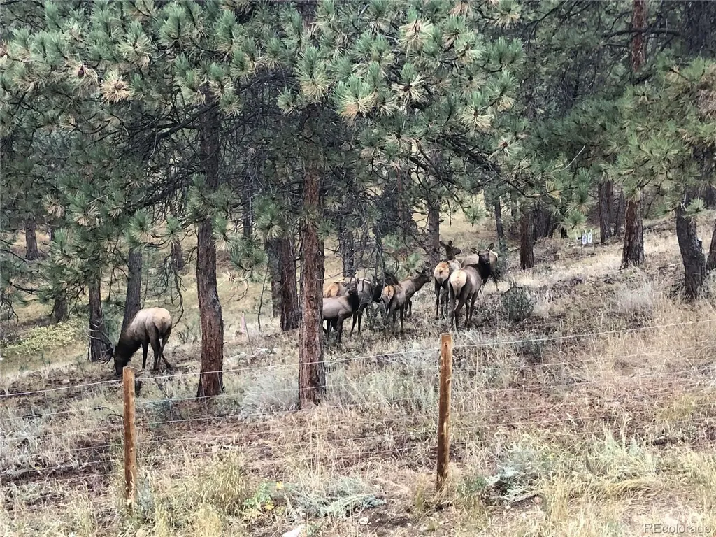 444 Broken Arrow Road Evergreen CO 80439