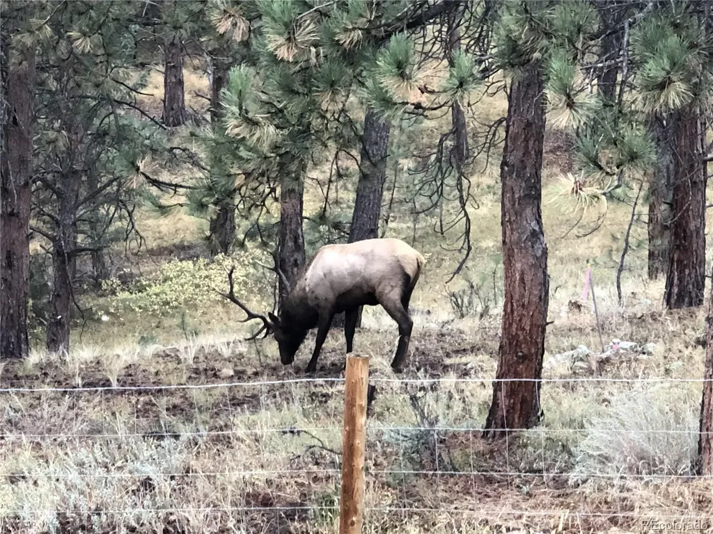 444 Broken Arrow Road Evergreen CO 80439