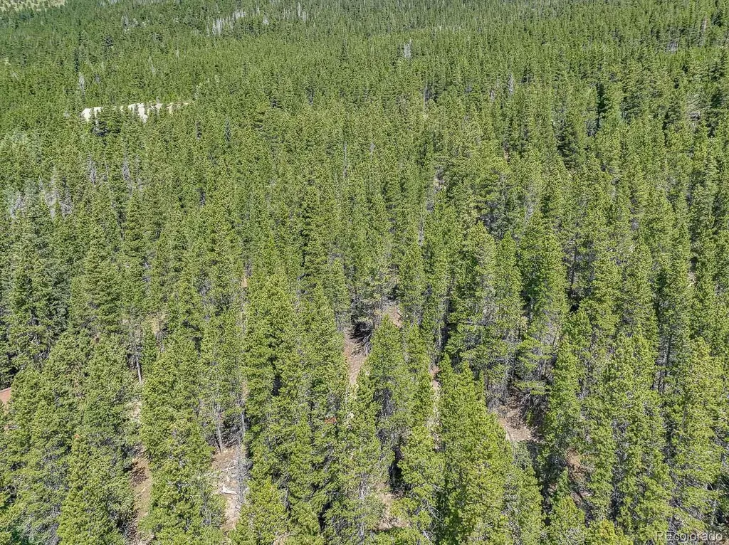 Lot 836 Nebraska Drive Idaho Springs CO 80452