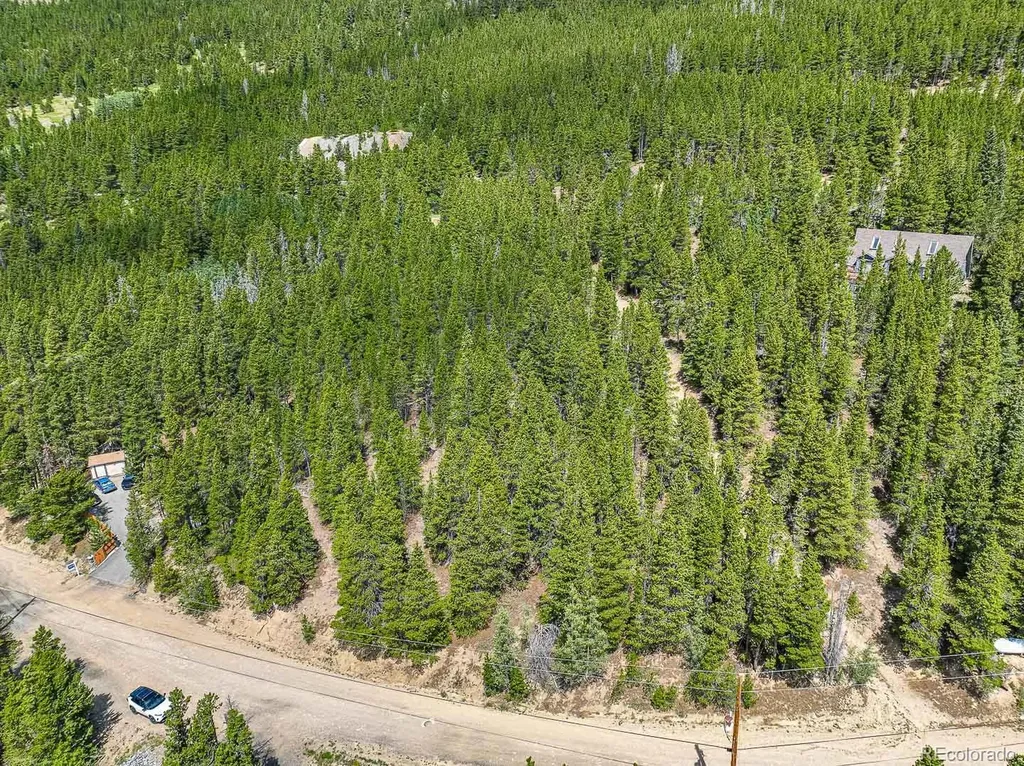 Lot 836 Nebraska Drive Idaho Springs CO 80452