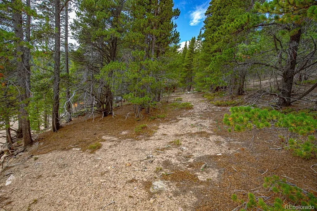 Lot 836 Nebraska Drive Idaho Springs CO 80452