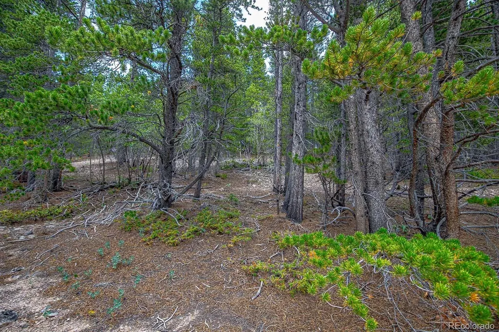 Lot 836 Nebraska Drive Idaho Springs CO 80452