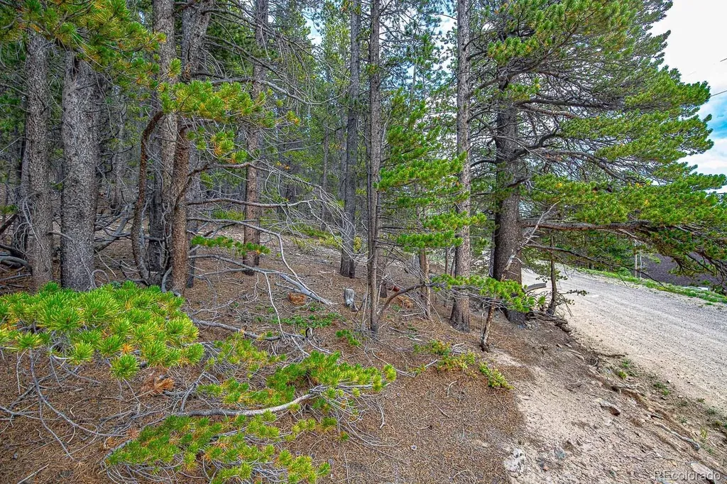 Lot 836 Nebraska Drive Idaho Springs CO 80452
