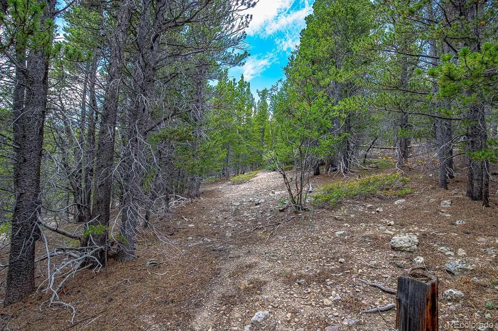 Lot 836 Nebraska Drive Idaho Springs CO 80452