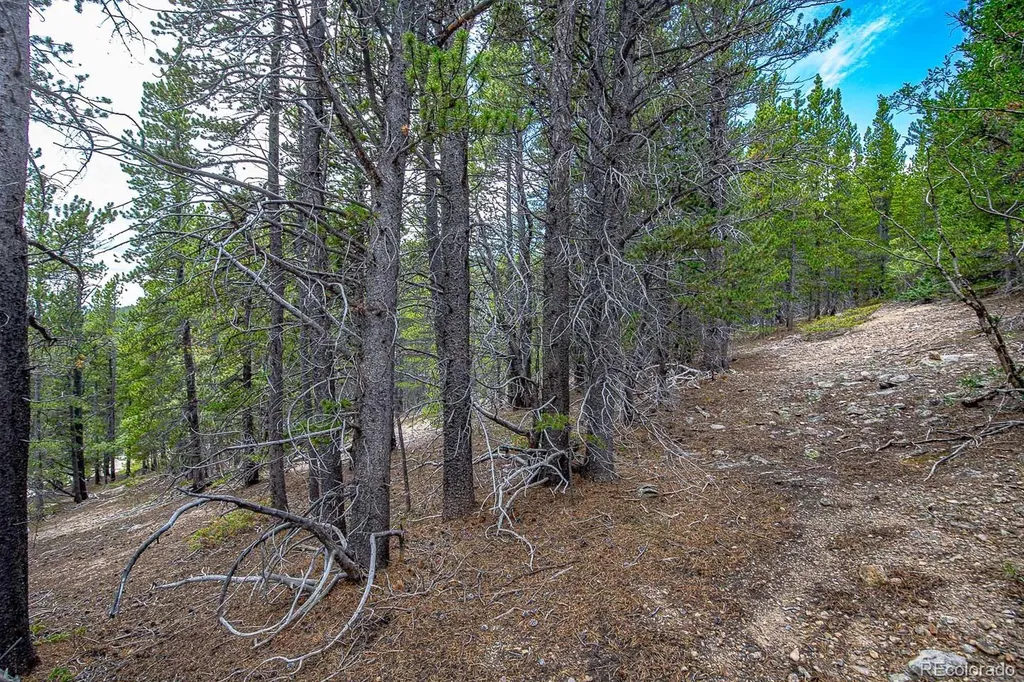 Lot 836 Nebraska Drive Idaho Springs CO 80452