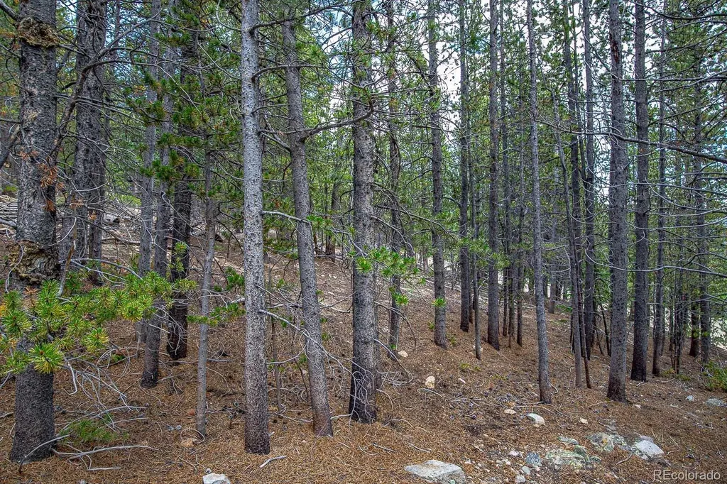 Lot 836 Nebraska Drive Idaho Springs CO 80452