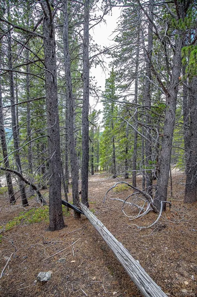Lot 836 Nebraska Drive Idaho Springs CO 80452