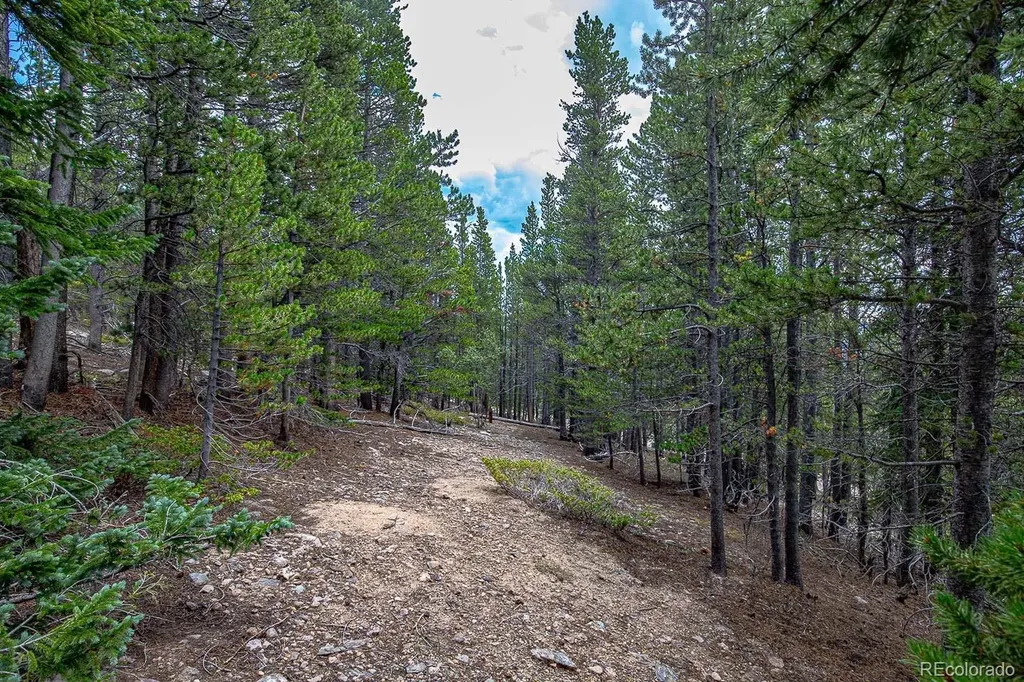 Lot 836 Nebraska Drive Idaho Springs CO 80452