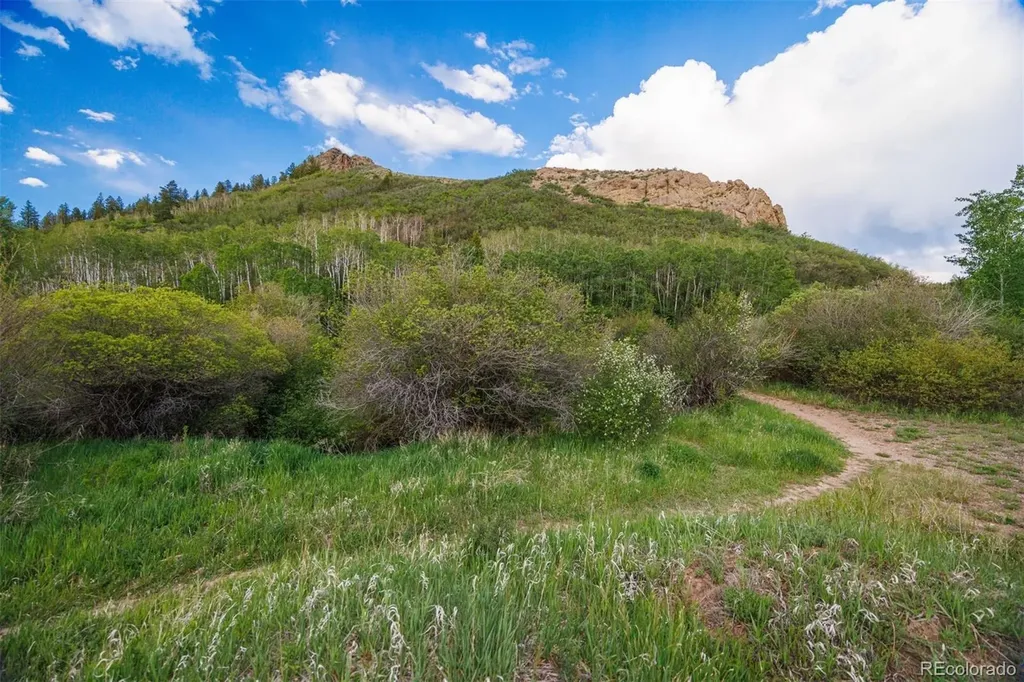 22090 County Road 212 Oak Creek CO 80467