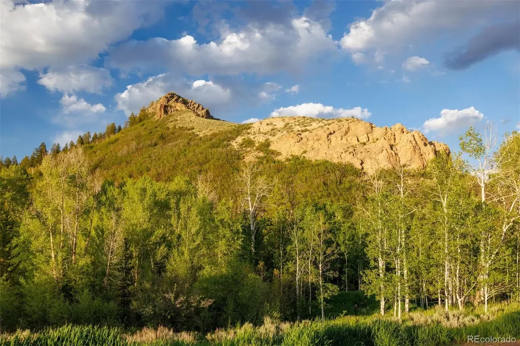 22090 County Road 212 Oak Creek CO 80467