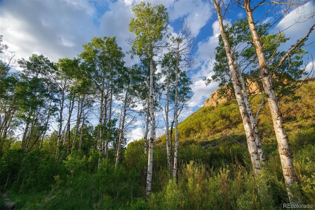 22090 County Road 212 Oak Creek CO 80467