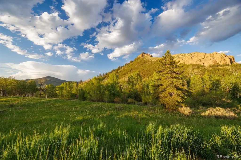 22090 County Road 212 Oak Creek CO 80467