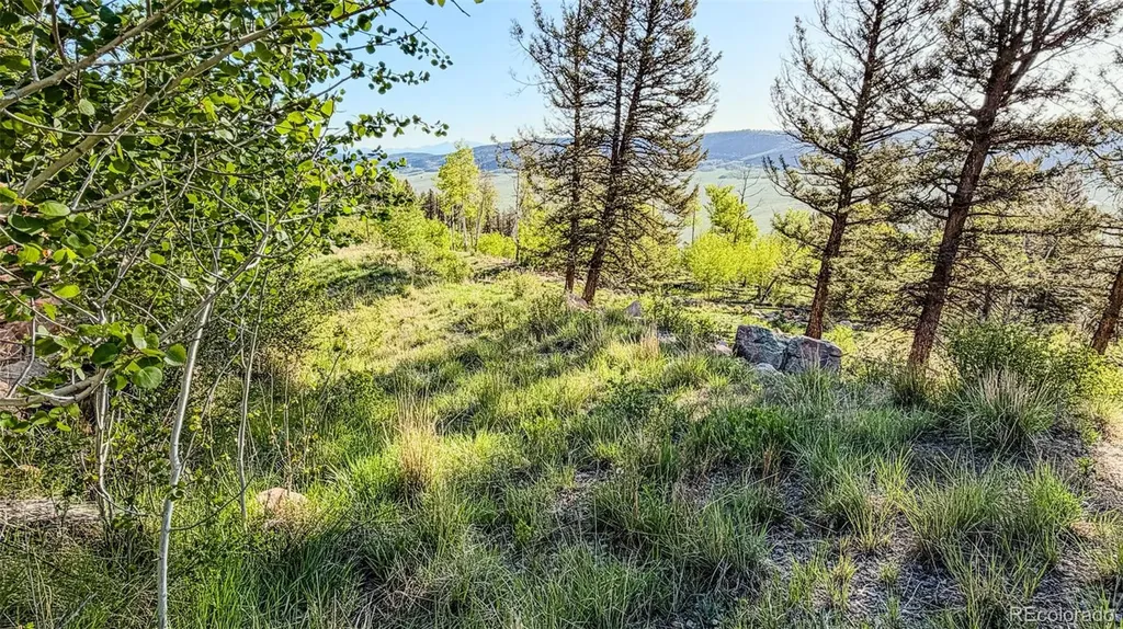 4924 Middle Fork Vista Fairplay CO 80440
