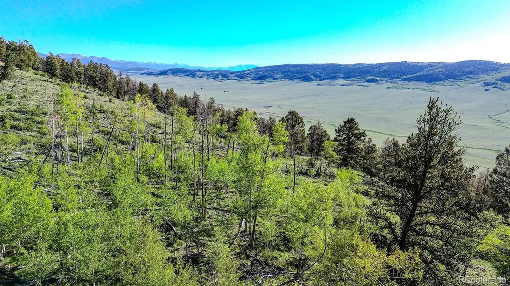 4924 Middle Fork Vista Fairplay CO 80440