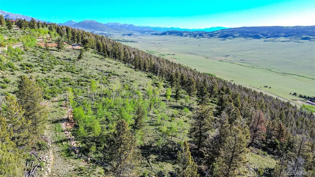 4924 Middle Fork Vista Fairplay CO 80440
