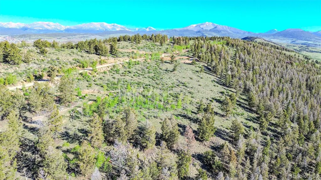 4924 Middle Fork Vista Fairplay CO 80440