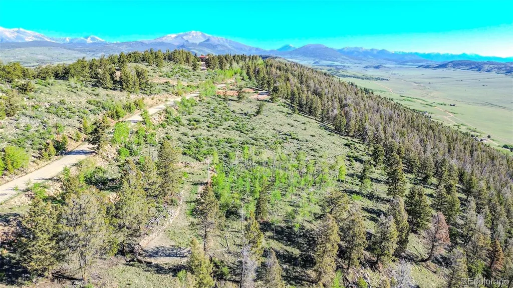 4924 Middle Fork Vista Fairplay CO 80440